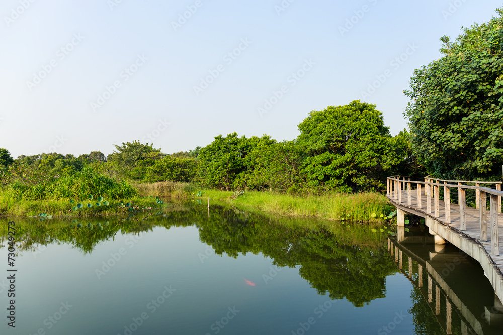 Lake and wooden bridge