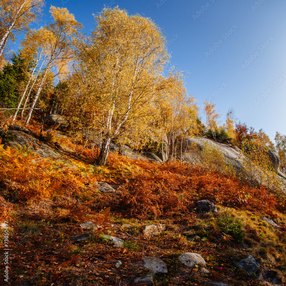 rock massif in the Carpathians