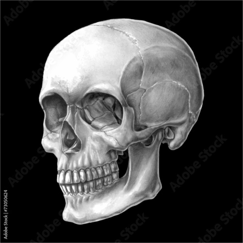 Black Skull