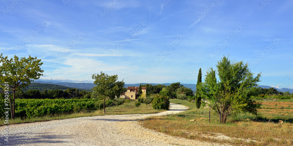 Provence countryside