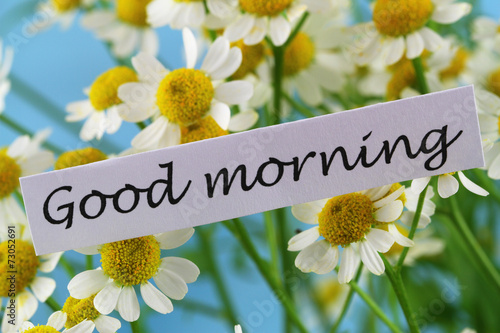 Fototapeta Naklejka Na Ścianę i Meble -  Good morning card with chamomile flowers