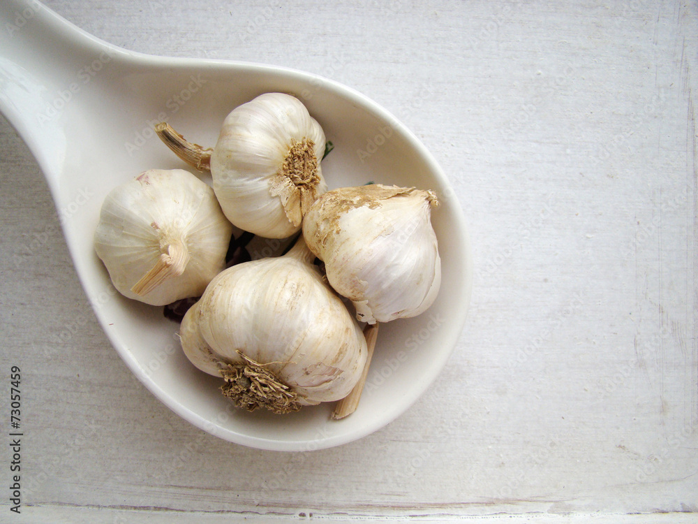 organic garlic organic garlic