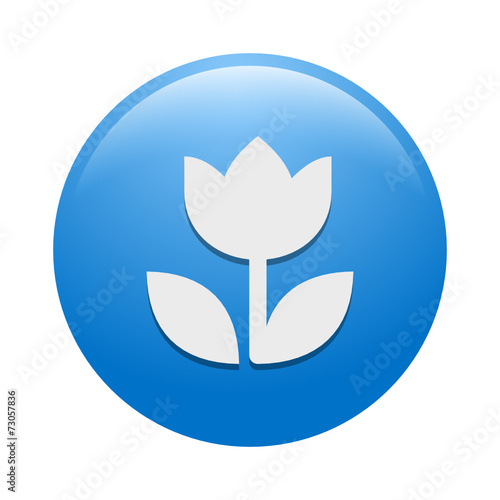 Vector Icon