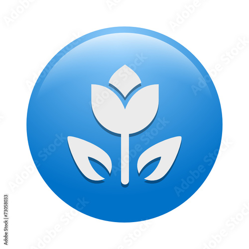 Vector Icon