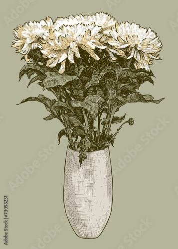 chrysanthemums in a vase