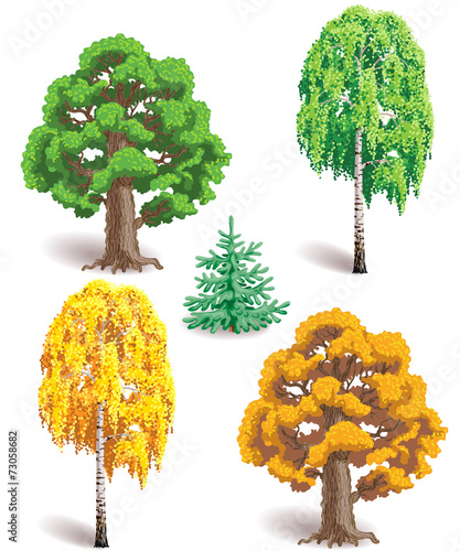 Trees in summer and autumn