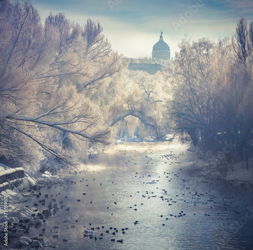 Beautiful winter landscape in the city park