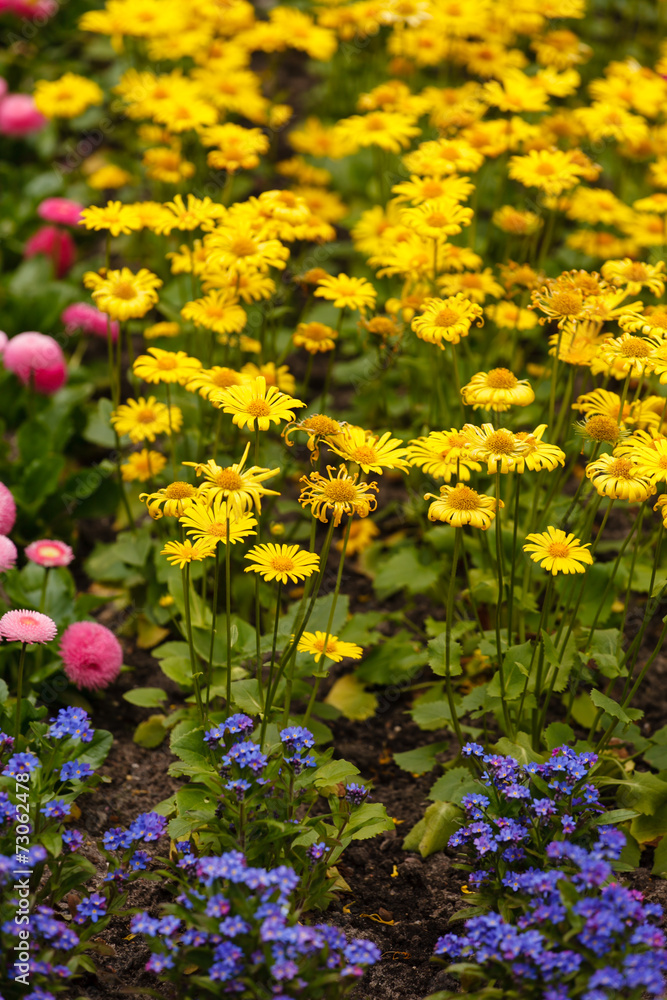 Obraz premium spring garden