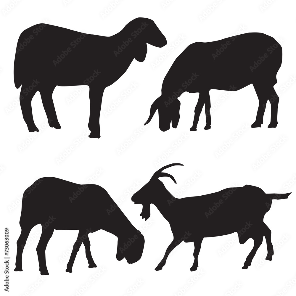 Sheep and goat silhouettes vector Sheep and goat silhouettes vector