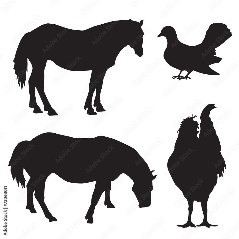Silhouettes of animals and birds vector