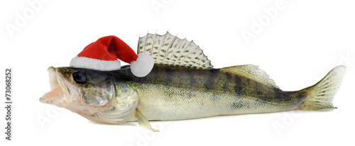 Canvas Print Santa hat in Walleye