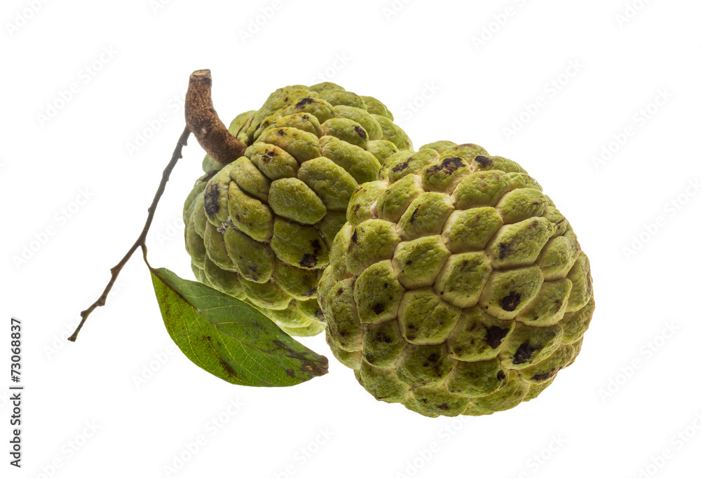 Fototapeta premium Noni fruit
