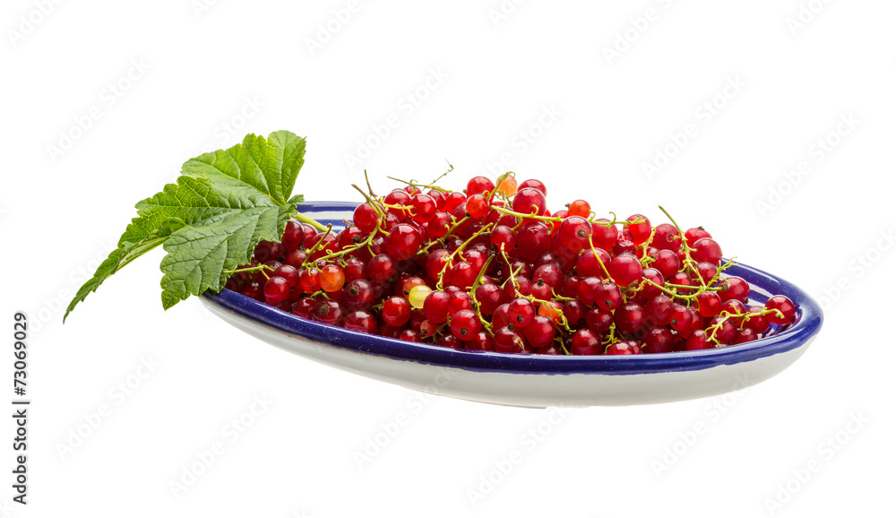Red currant Red currant