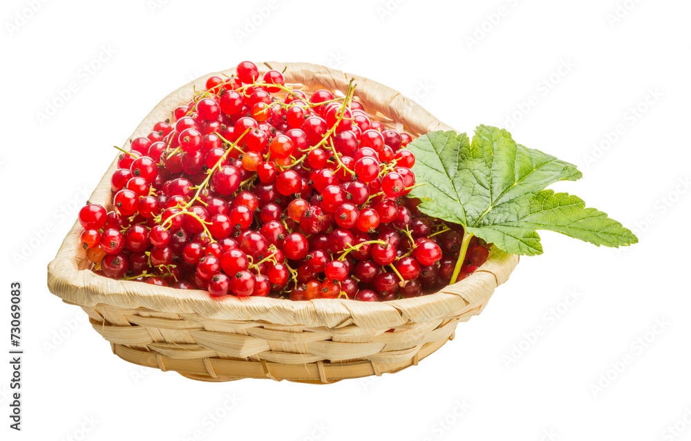 Red currant Red currant