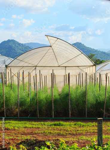 green house for arganic vegetable plant in clean agriculture ind © stockphoto mania