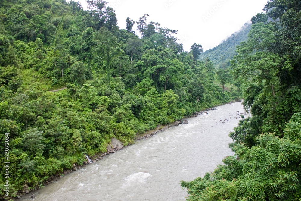 Obraz premium River in Sikkim jungle