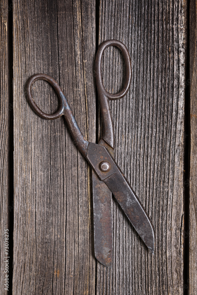 Old scissors Old scissors