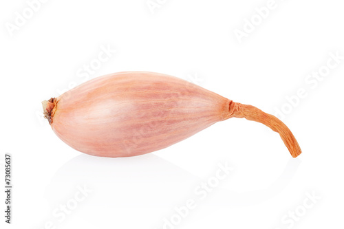 Shallot onion single on white, clipping path