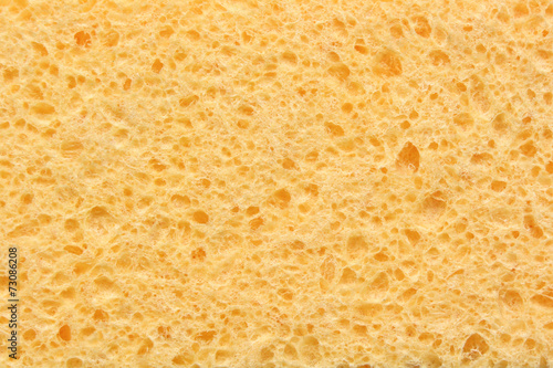 Sponge for dishes texture