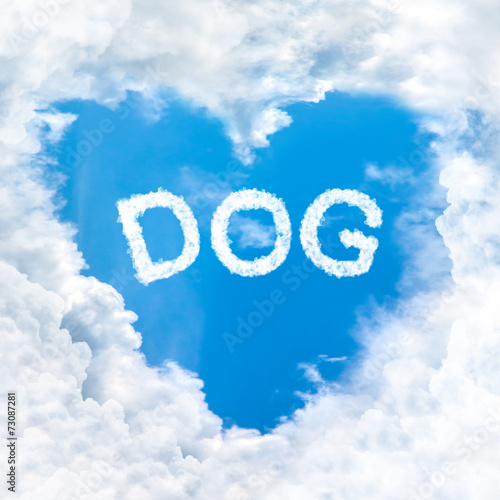 love dog word cloud blue sky background only