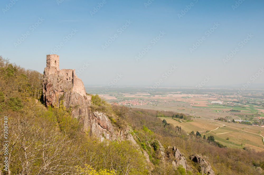 Chateau du Girsberg à Ribeauvillé et plaine d'Alsace