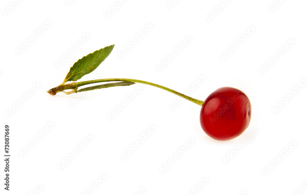 Obraz premium cherry