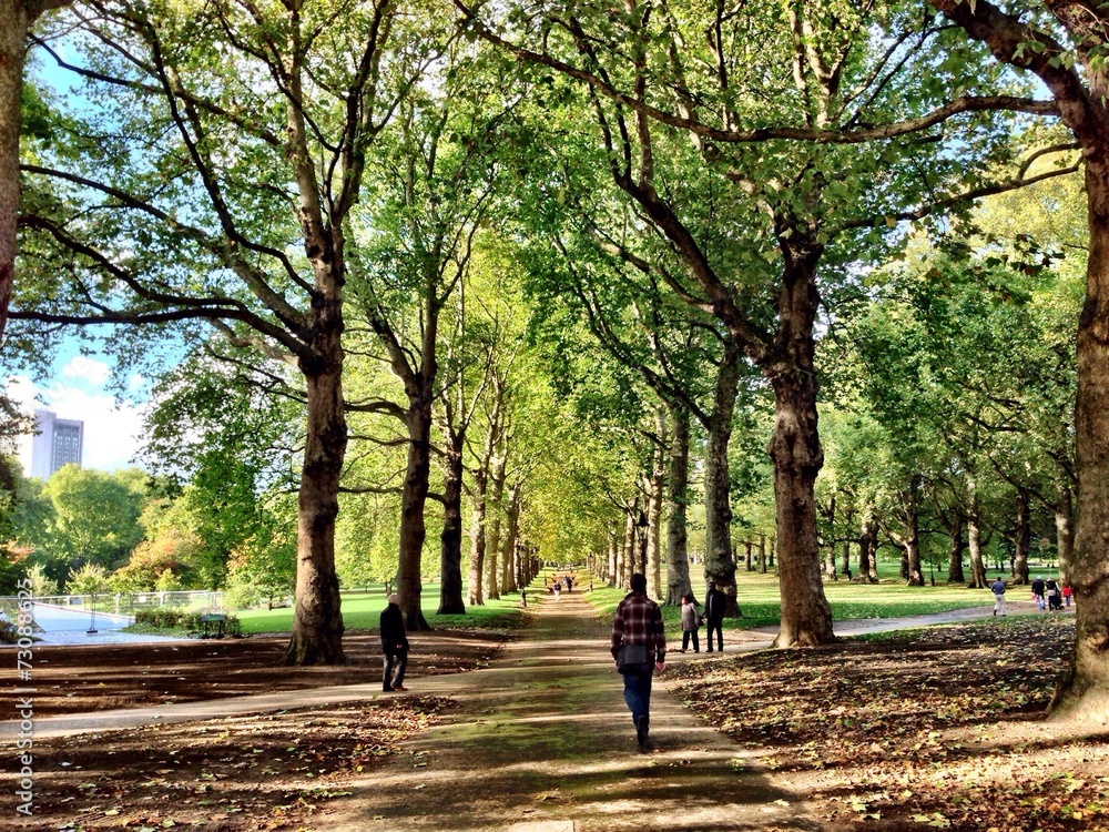 Suggestive view of the Green Park in London Suggestive view of the Green Park in London