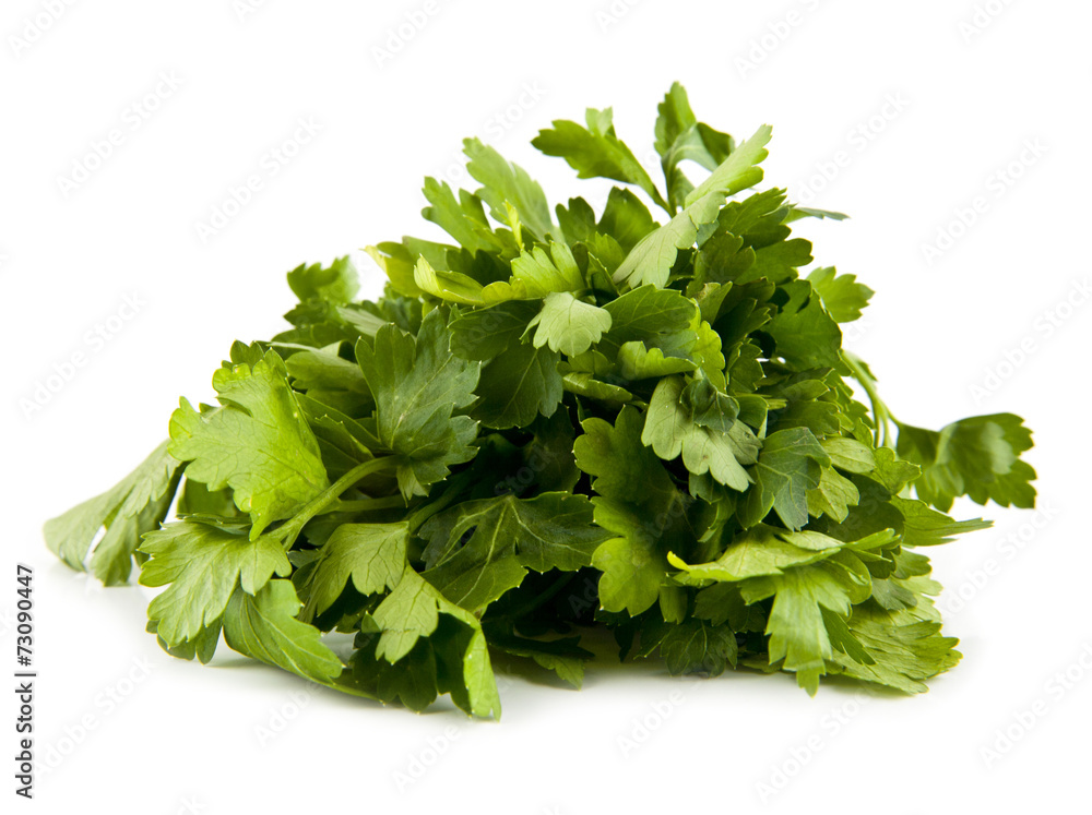 Obraz premium parsley