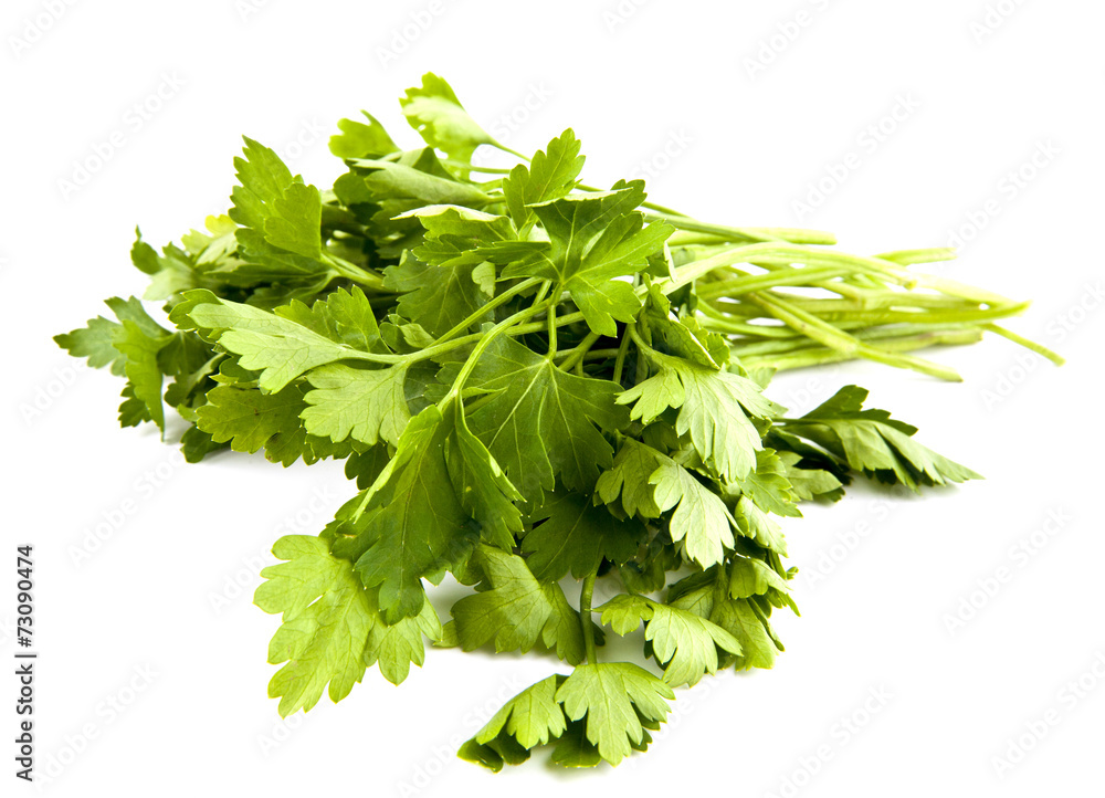 Obraz premium parsley