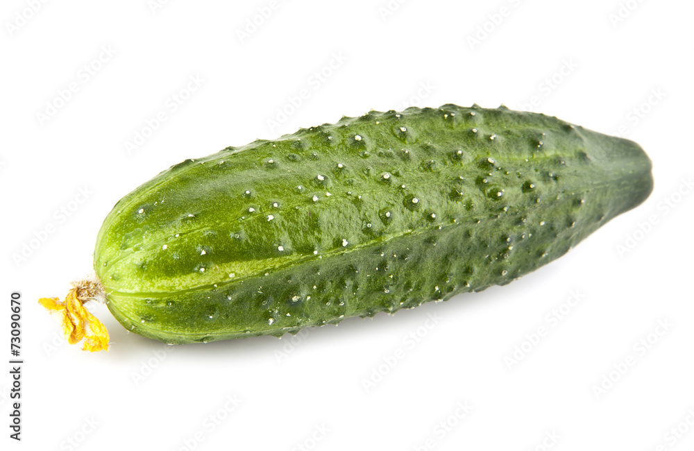 cucumber cucumber