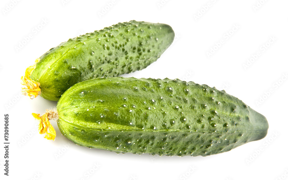 cucumbers cucumbers
