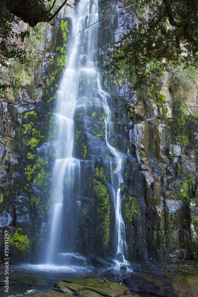 Swallowtail falls in Hogsback, South Africa Swallowtail falls in Hogsback, South Africa