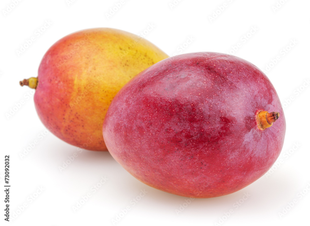 Two mangoes isolated on white background with clipping path Two mangoes isolated on white background with clipping path
