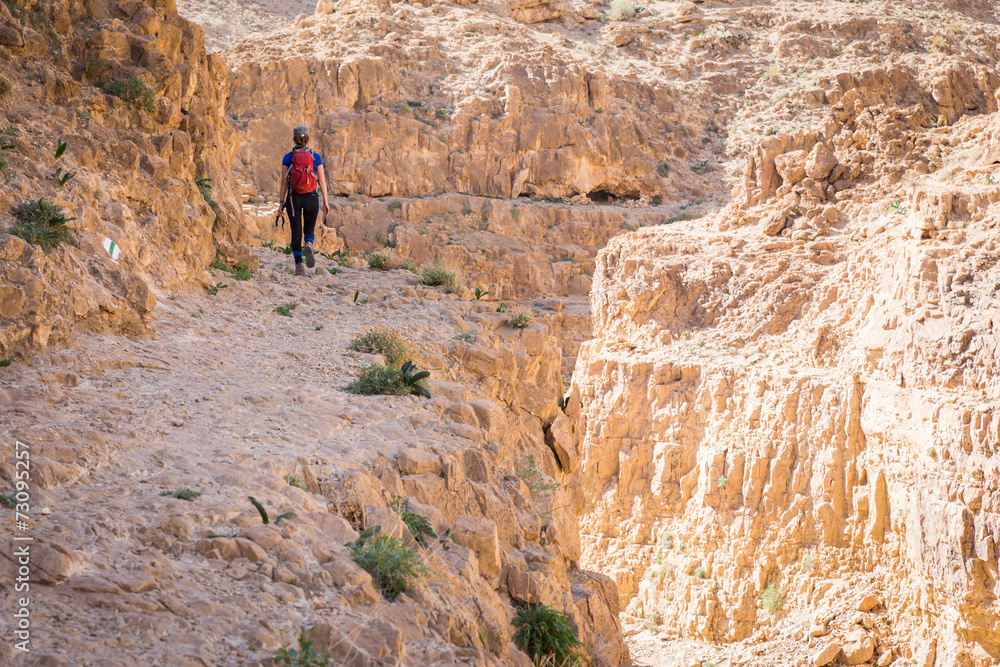 Woman tourist walking desert mountain above gorge canyon.