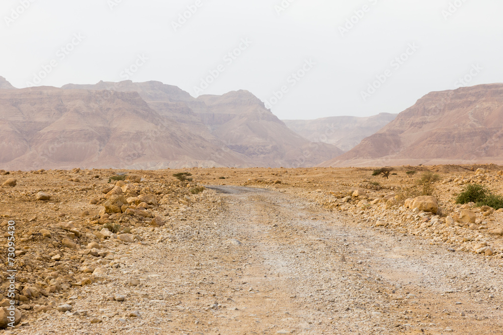 Desert road into mountains canyon.