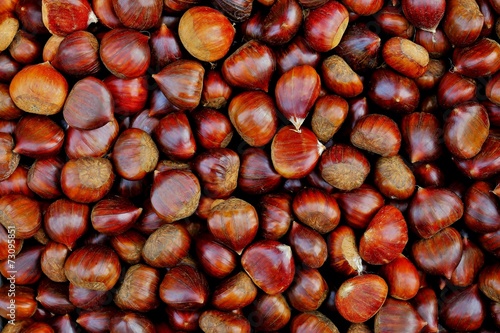 Maroni, Edelkatanien auf Haufen, Hintergrund