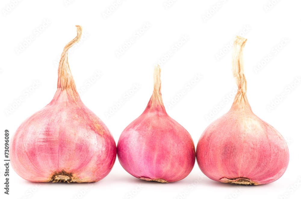 Obraz premium Fresh shallot