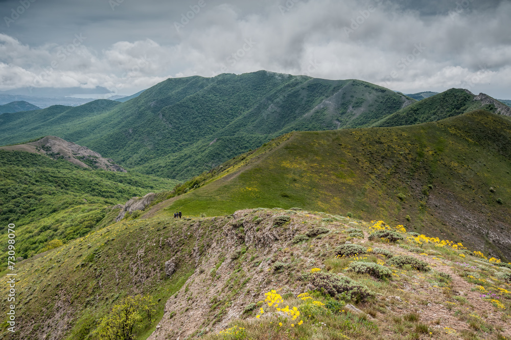 Fototapeta premium Ridge