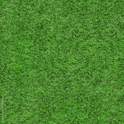 Grass Texture - Seamless © Alex Stokes