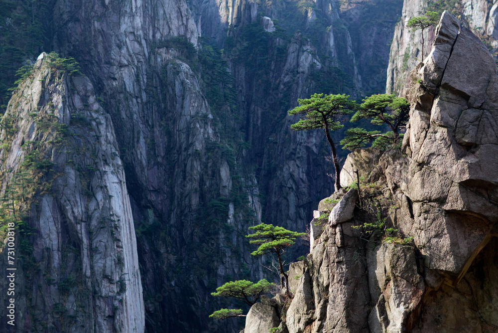 Fototapeta premium Huangshan Mountain (Yellow Mountain), China