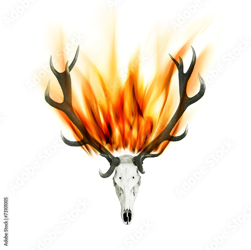 Hirschgeweih mit Feuer