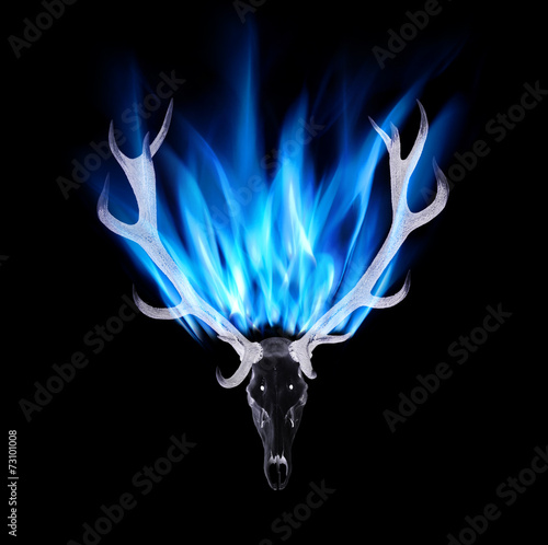 Hirschgeweih mit Feuer