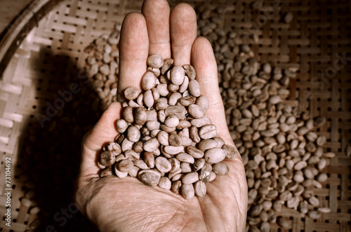 Hand showing raw coffee beans from the basket
