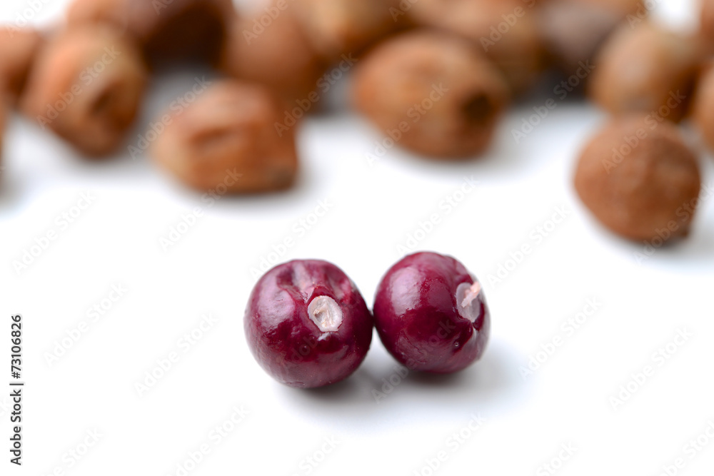 Bambarra Groundnut Bambarra Groundnut