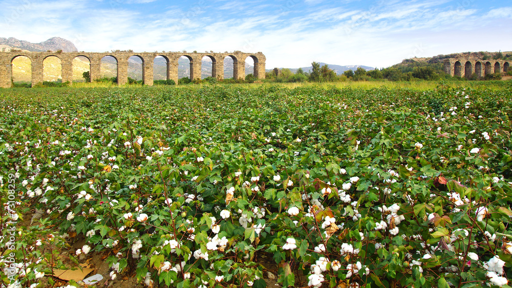 Fototapeta premium Aqueduct at Aspendos in Antalya, Turkey