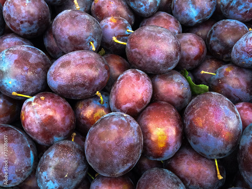 Ripe Plums  Blackthorns  at the farmers Market