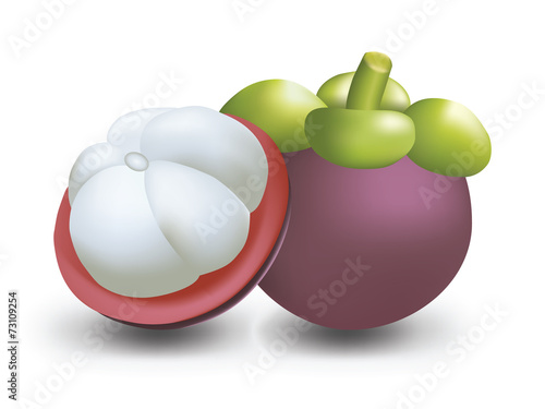 Mangosteen vector illustration.