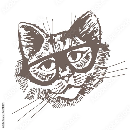 кот