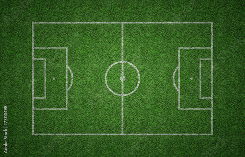 Grass Soccer Pitch