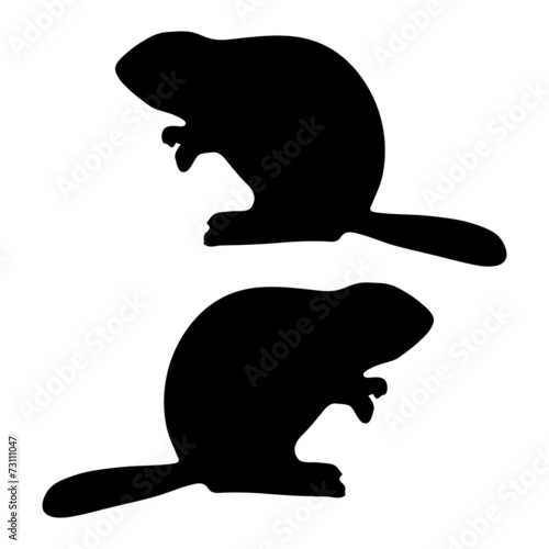 beaver silhouette